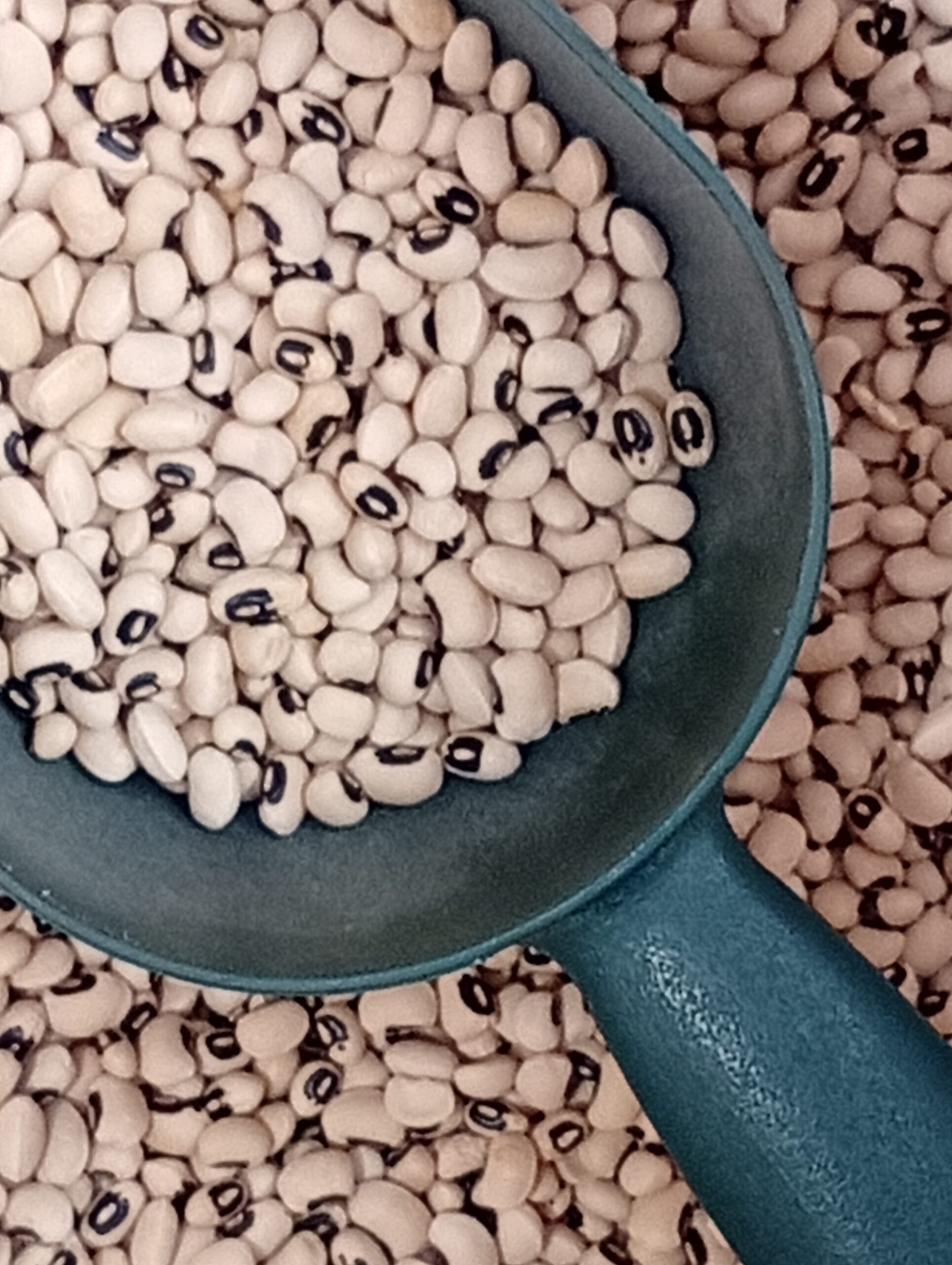Φασόλια Μαυρομάτικα BioAgros Bio Χύμα 1-5kg
