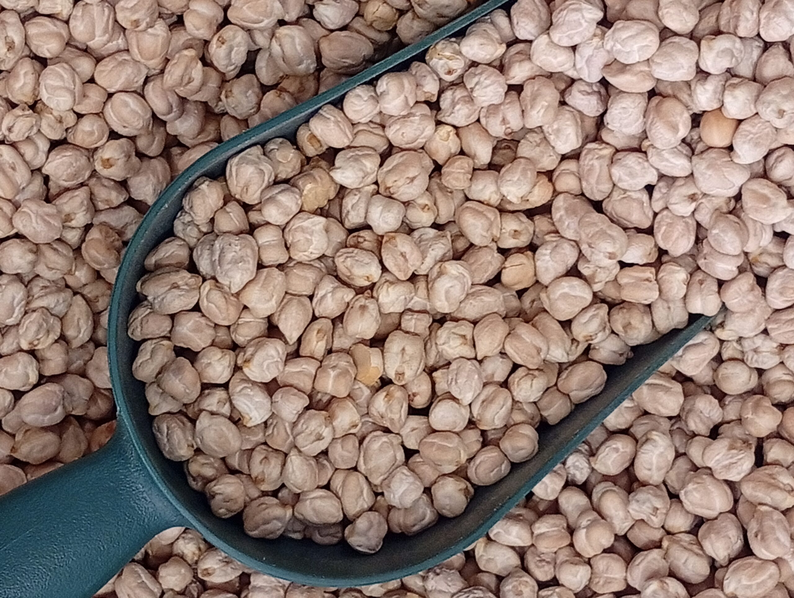 Ρεβίθια Χονδρά περιοχής Τρικάλων, Χύμα 1-5kg
