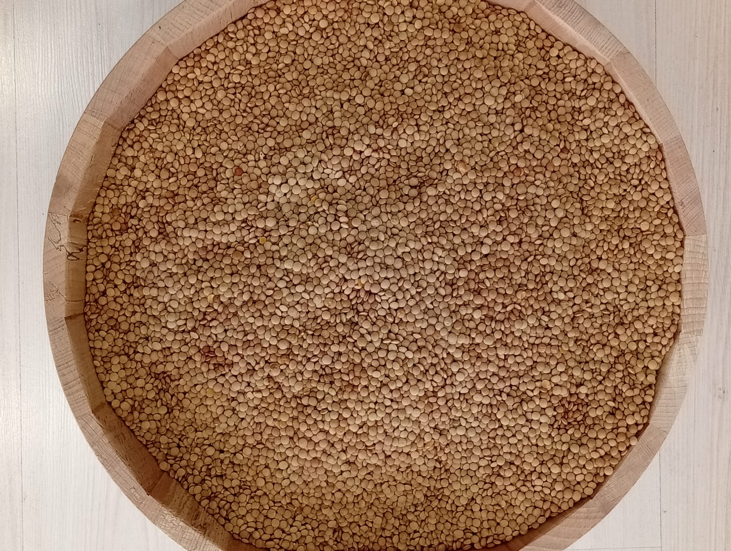 Φακές Γρεβενών, Χύμα 1-5kg - Image 2