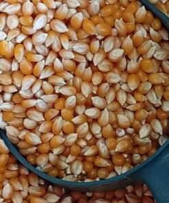 Ποπ Κορν BIOIASIS Bio Χύμα 0.5-3kg