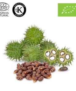 Καστορέλαιο HerbStore Bio 100ml - Image 4